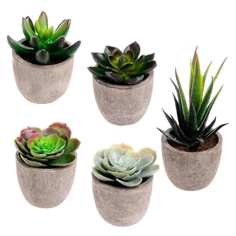 Set of 5 Assorted Decorative Faux Cactus Faked Plants Small Artificial Succulent with Gray Pot