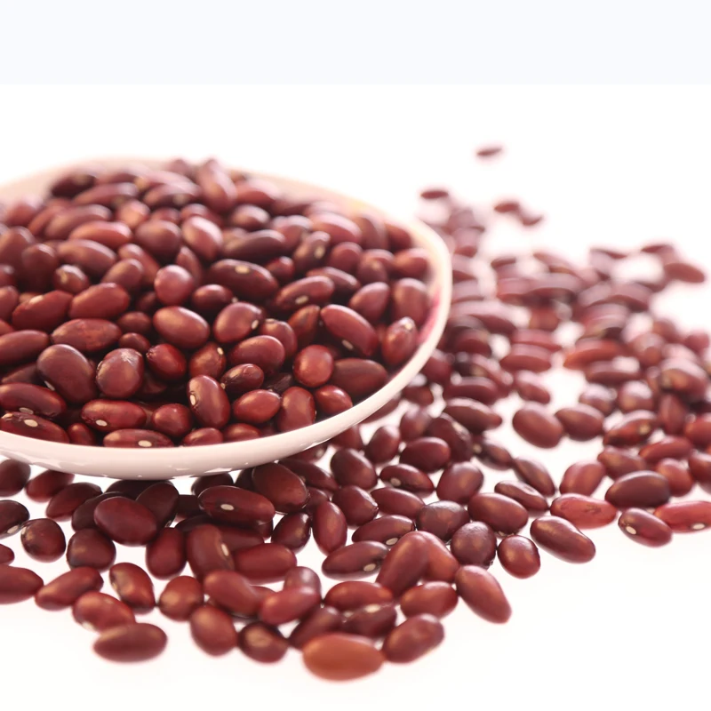 Big and small size cooking red beans