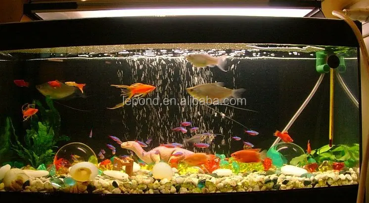 Hot sell Acrylic Bullet Fish Tanks