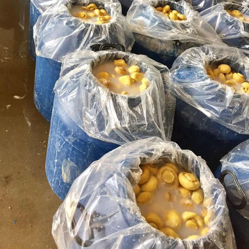 
Wholesale brined mushrooms in drums 