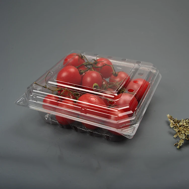  Chinese supplier kitchen product takeaway PET Plastic Fruit Clamshell food containers with lid