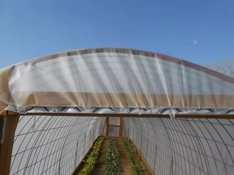 Greenhouse Accessories 0.6 0.7mm Film Lock Profile Film Lock Channel Wiggle Wire