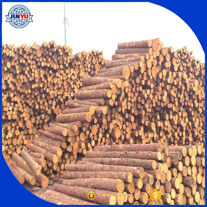 Продажа длинных бревен красной сосны для строительной древесины