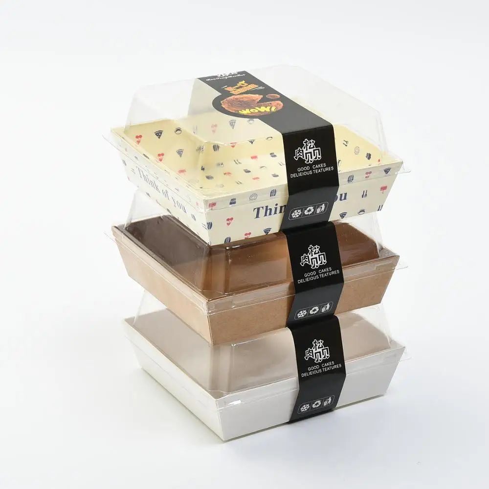 Wholesale Disposable Custom Printed Square Plastic Food Sushi Packaging Box with Plastic Lid