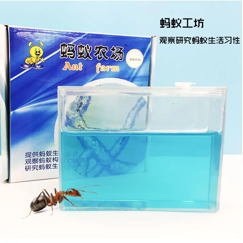 Medium farm DIY educational education toy watch ants living habits