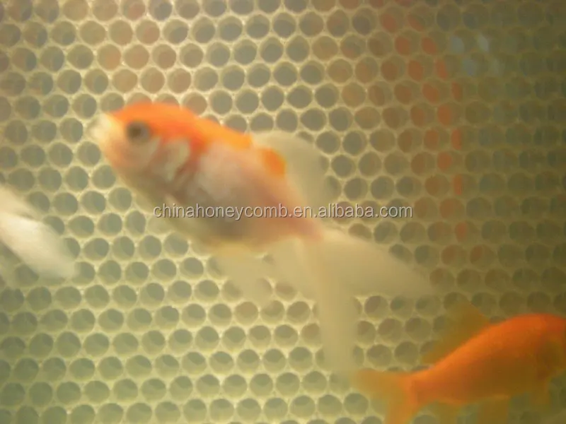 
plastic recycled polycarbonate honeycomb board panel(Building Gallery hall decorative material) 