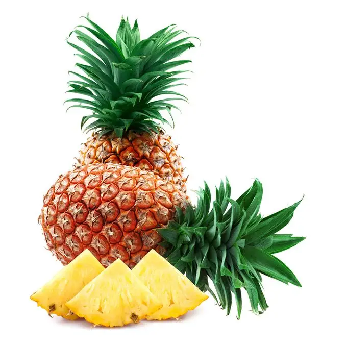 Саженцы ананаса по низкой цене