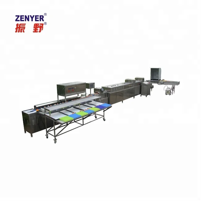 
Egg washing grading machine egg processing equipment 