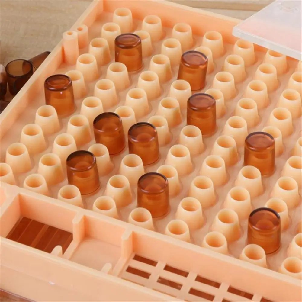 Queen Bee Rearing System For Beekeeping Plastic Cage Tools Apiculture Equipment
