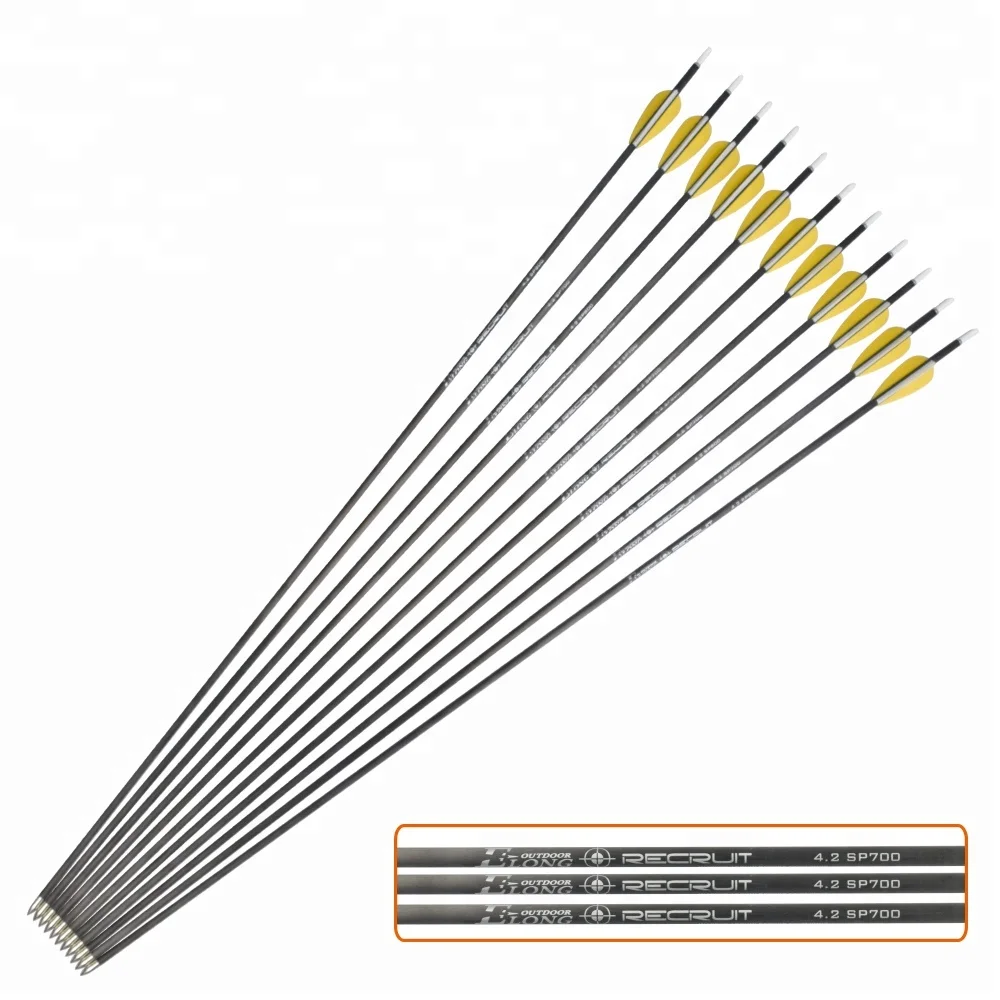 100% Carbon Arrow for Sale Plastic Vane 4.2mm High Quality Shooting Bow and Arrow