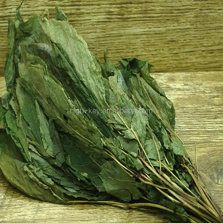 
5006 Ren Shen Ye Ginseng Changbai Mountain Green Ginseng Leaf 