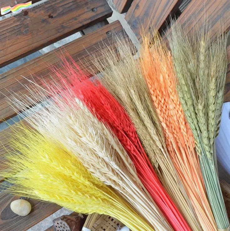 Dried Wheat Stalks Wheat Grass Bouquet Bundle Flower for DIY Home Table Wedding