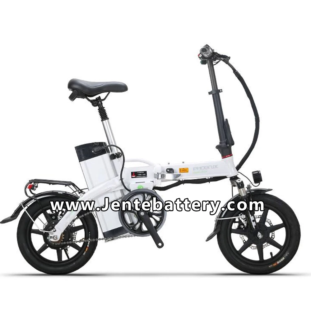 china suppliers 48v 1000w electric passenger tricycle battery 17.5AH Silver fish lithium batteries