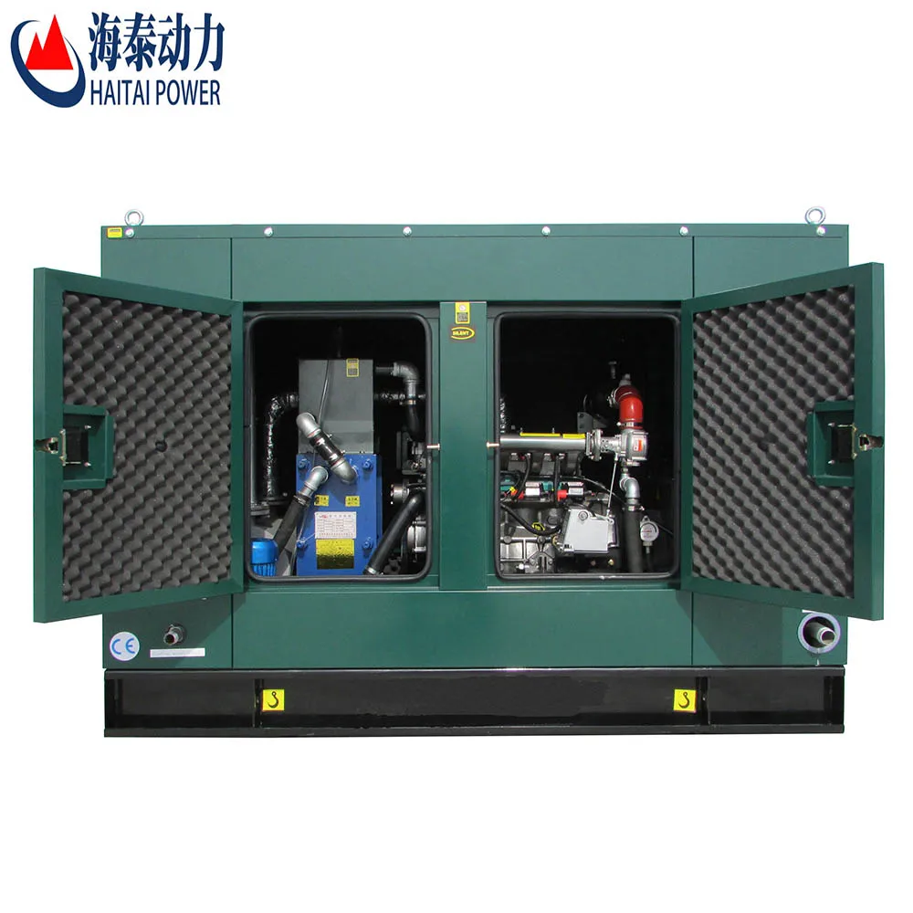 Small biogas generator 10kva-30kva mini household biogas plant