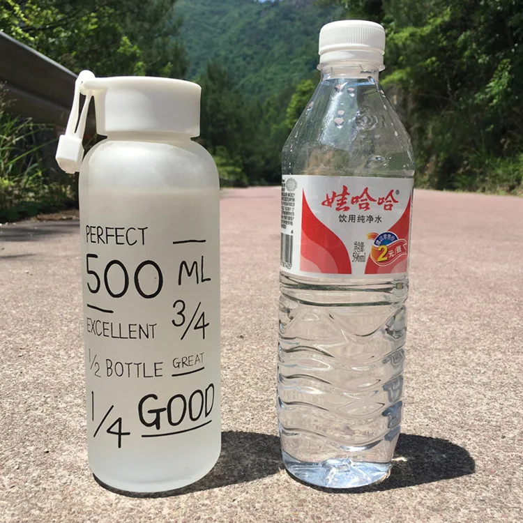 Best Quality My Breakproof Bootl 2 Colors Sports Cycling Camping Readily Space Health Lemon Juice Make 500ml Glass Water Bottle