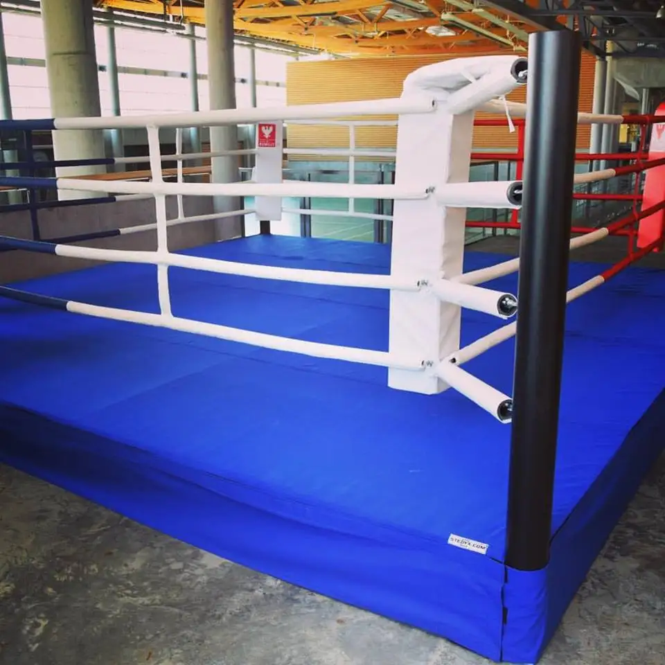 Cheap Competition Boxing Ring MMA cage wrestling cage  Ring de boxeo for export