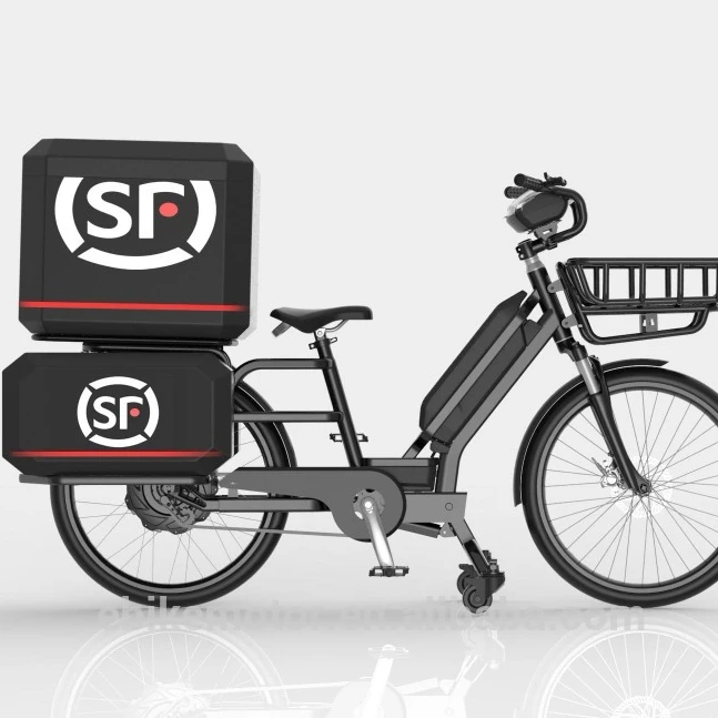 MXUS heavy loading electric cargo bike