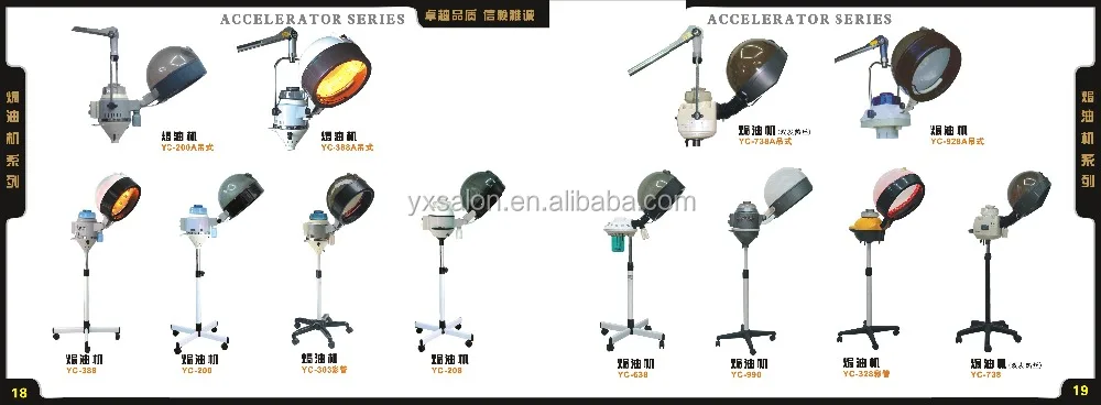 Classic European Style Hair Steamer(yc206)