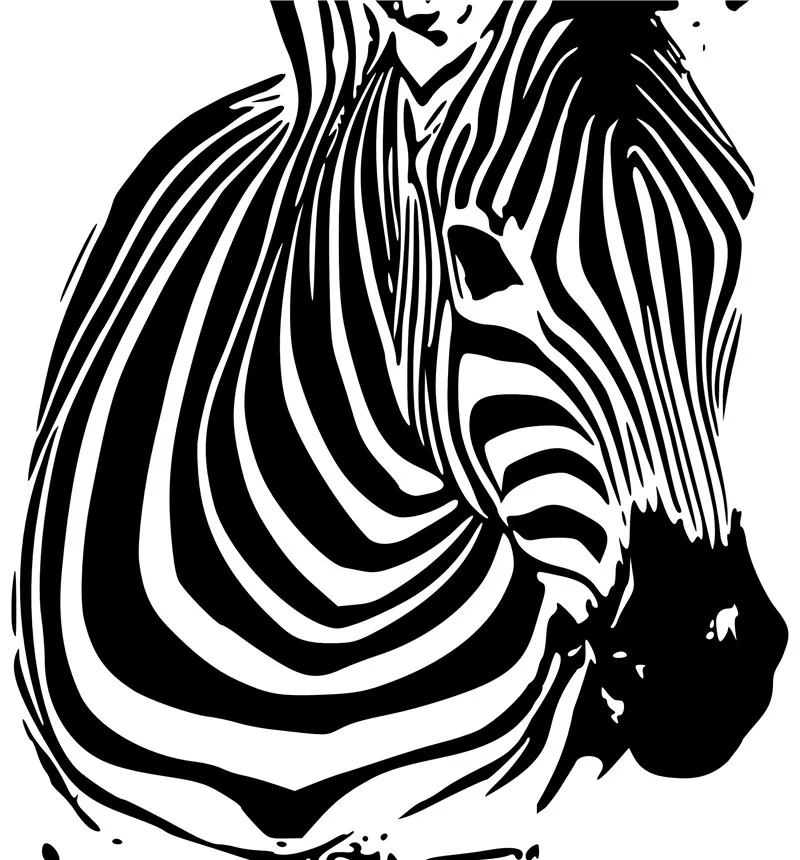 Factory supply new products zebra pop-art oil painting on canvas