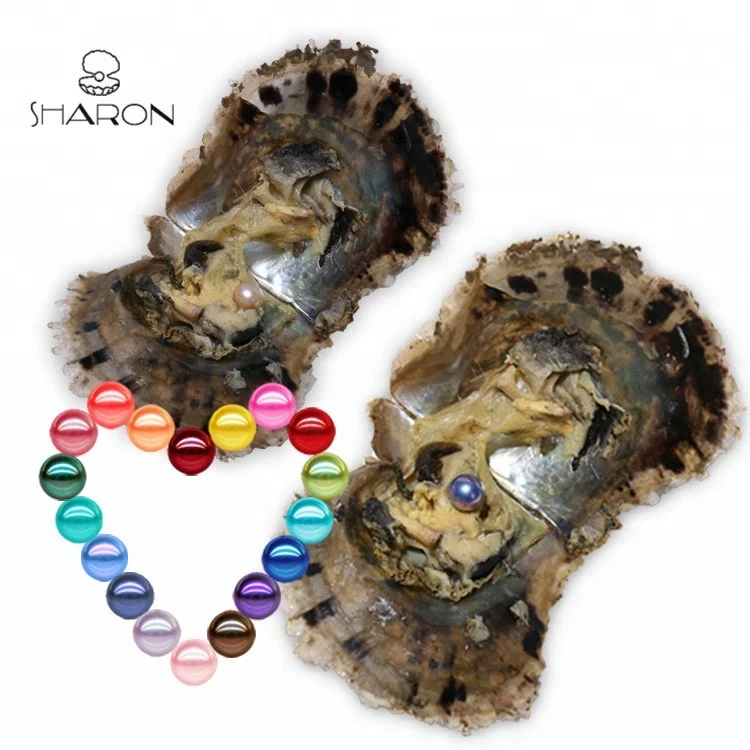 
AAAA Grade 6-7mm MIXED Color Vacuum Packed Oysters Akoya Pearl Oyster Saltwater Pearl Oyster Many Colours Stock 