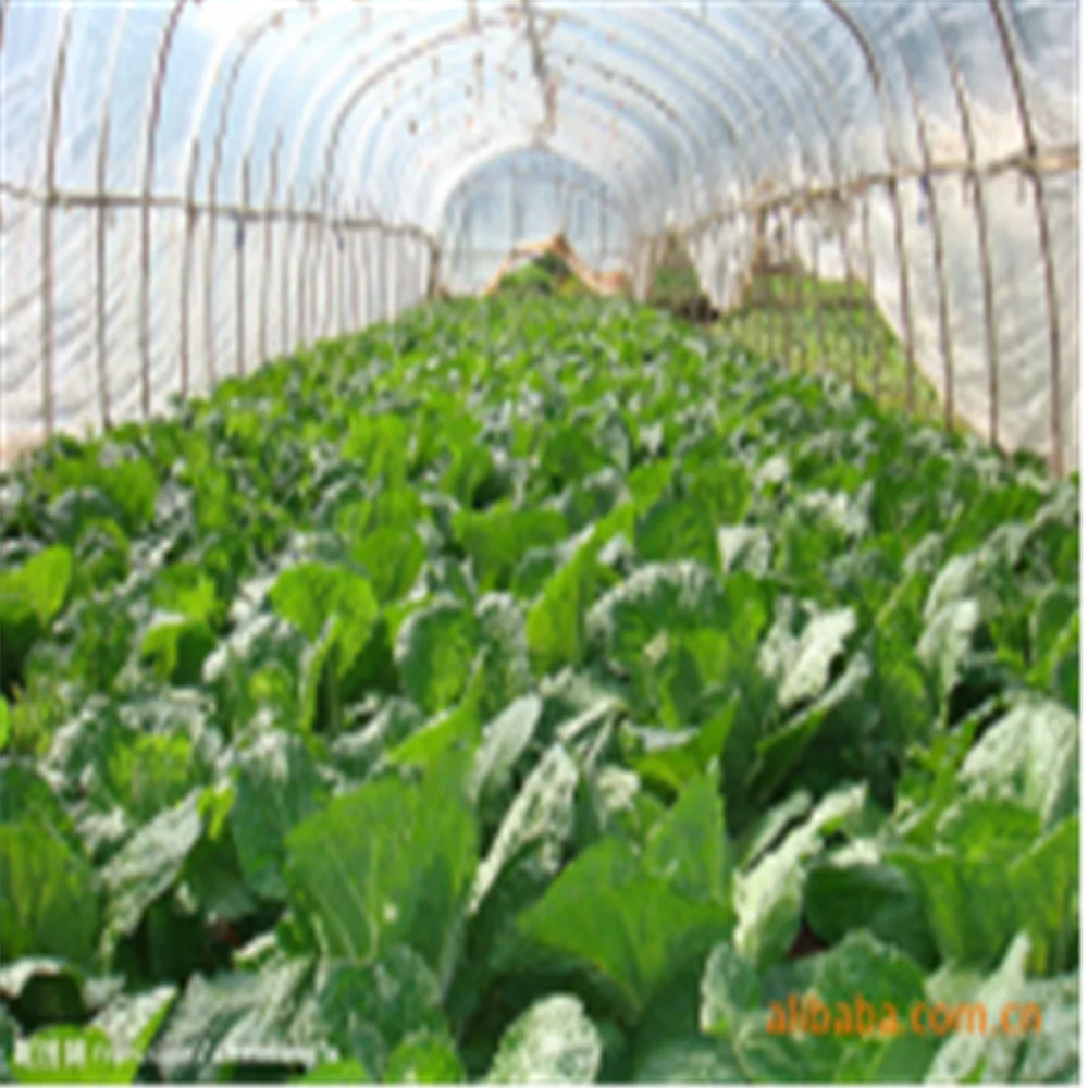 
[Customized]Agricultural automation system greenhouses, greenhouse monitoring solutions based on Circle 6000 software 
