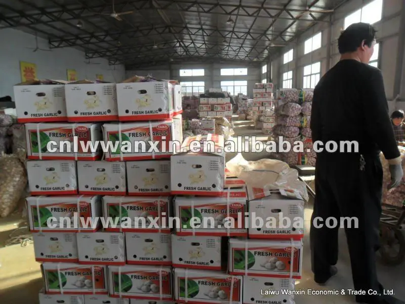 
2012 fresh garlic for Tunisia 
