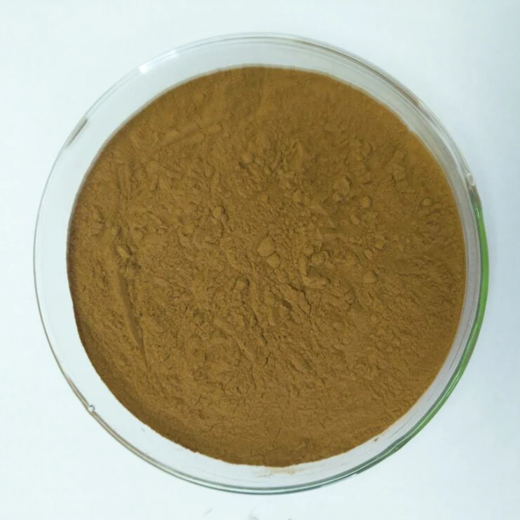 
China Herbal Plant Morinda Officinalis Root Extract For Impotence 