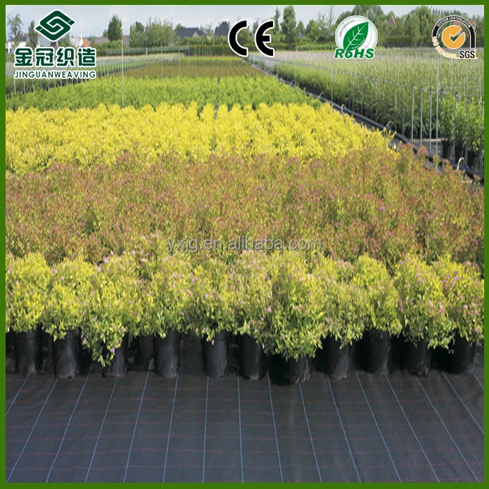 Agricultural weed killer fabric weed mat fabric agricultural ground cover plastic mulch film