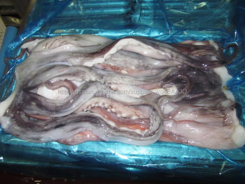Замороженные гигантский перу кальмары щупальца для продажи