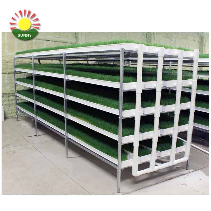 New arrival green fodder machine hydroponic fodder trays