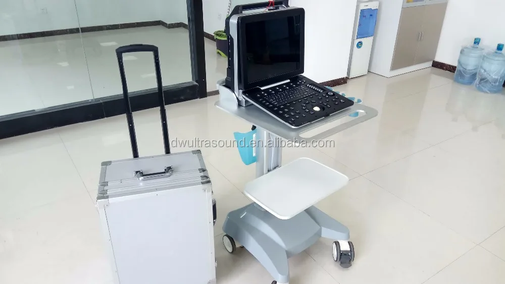 New laptop and portable 3D 4D Color Doppler Veterinary Ultrasound DW-P6(DW-C300) can exam cardiac