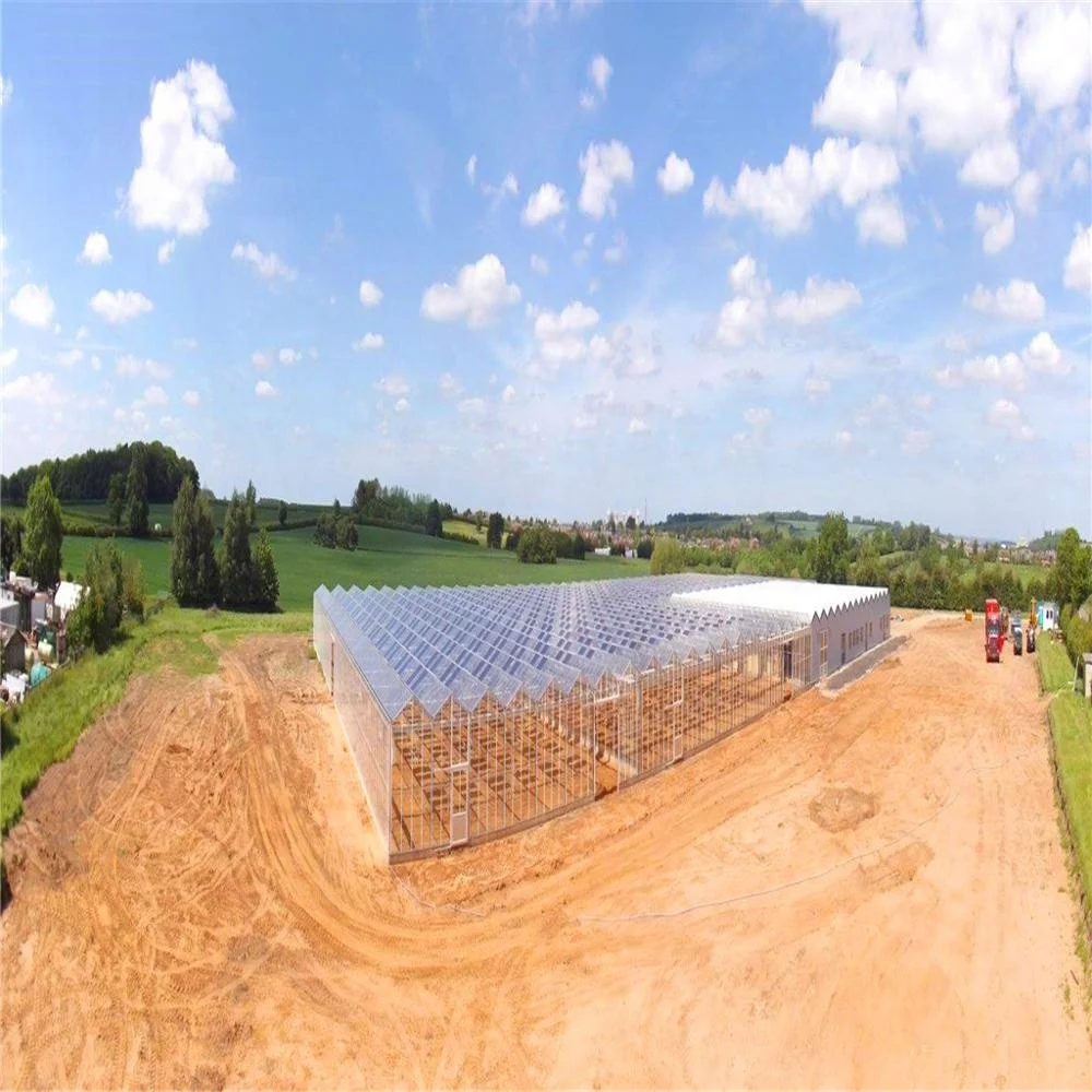 
Natural vents aluminium framing sequoia orchids growing seedling poly tunnel greenhouse steel frame tunnel 