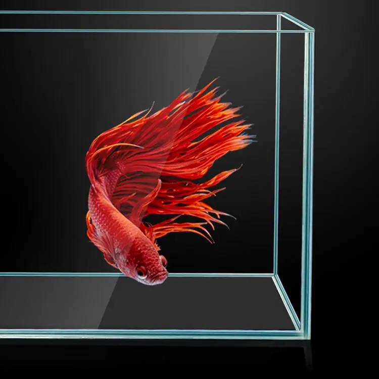 Best Selling Eco-friendly Fish Aquarium Office Table