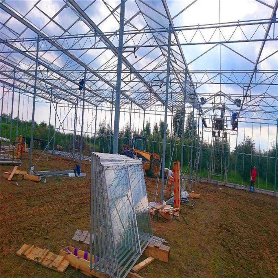 
agricultural polycarbonate greenhouse with 10mm thick polycarbonate sheet as covering insect net 