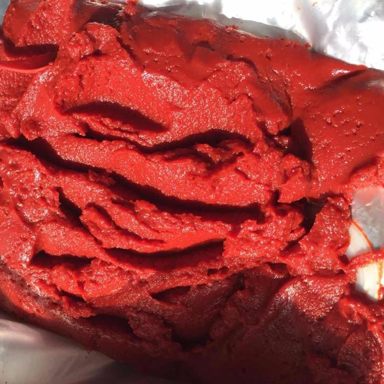 tomato paste in drum with 36/38 brix 2021 crop