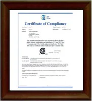 video-camera-certificate 4.jpg
