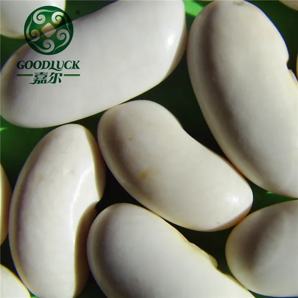 China HPS Polished Large White Alubia Kidney Beans Price (60676465948)