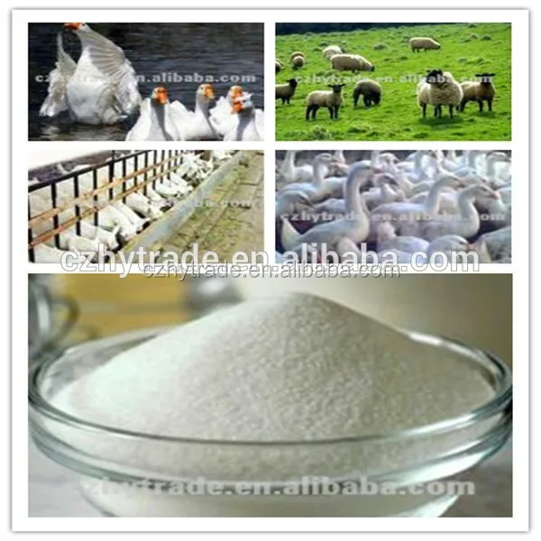 Fish growth stimulant - feed additive betaine hydrochloride 98 percent min pilot flight bags