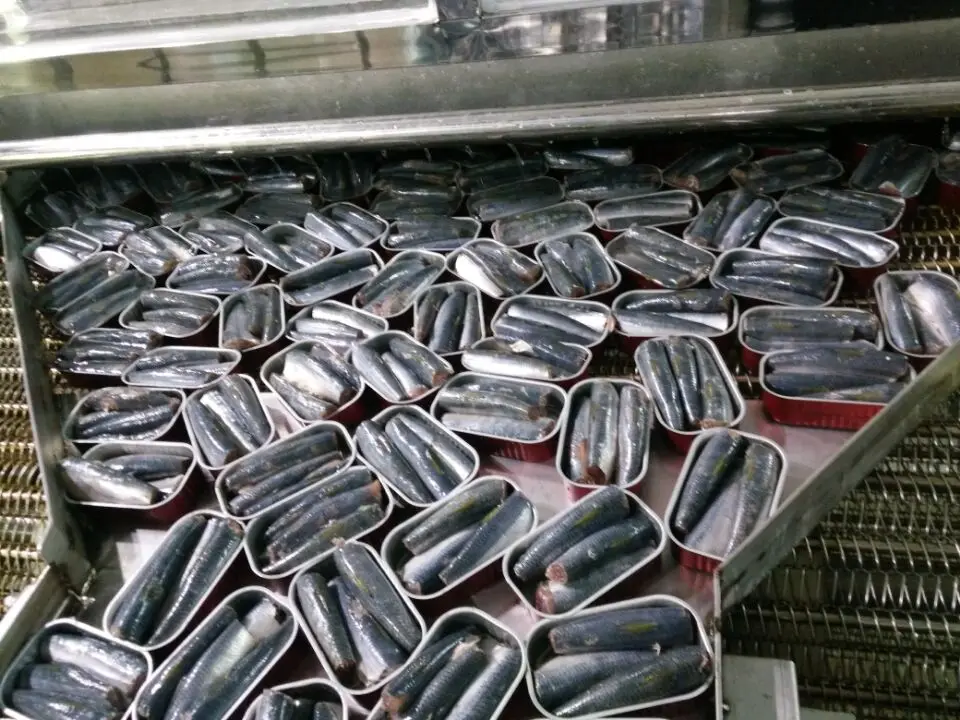 canned sardine from morocco ingredient canned sardine fish in oil