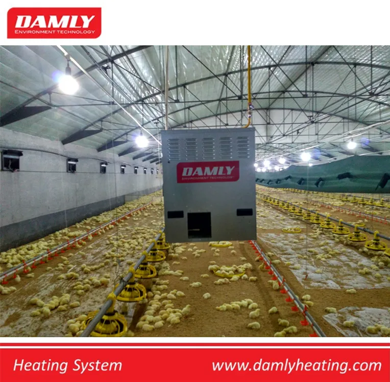 DAMLY Good Quality High Efficient Automatic Control LPG broiler poultry gas Space heater