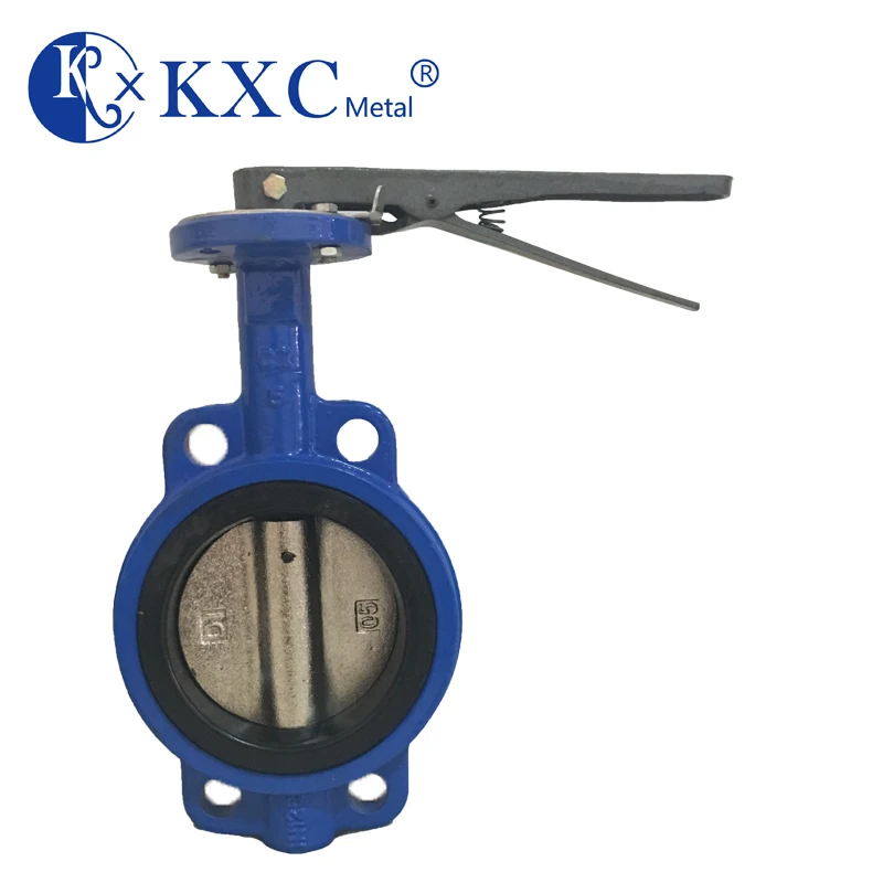 ISO Certificated Class 125 PN25 gearbox a216 wcb 2/12 butterfly valve