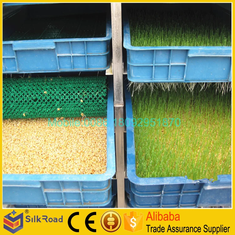 Good Quality cattle green fodder growing machine