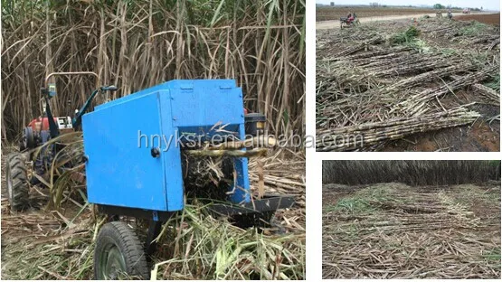 sugarcane cleaner / sugar cane top removing machine