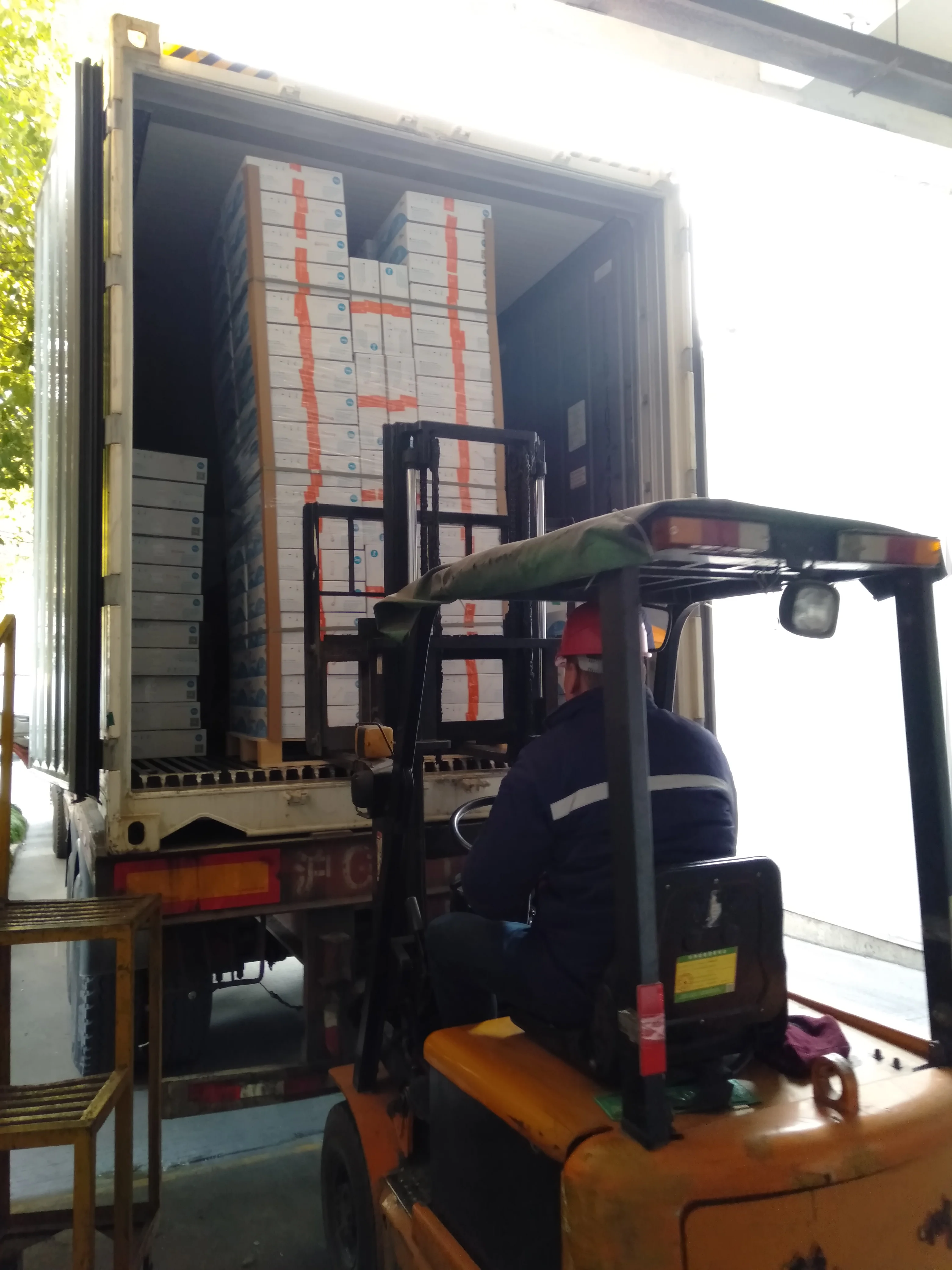 
hatake shimeji mushroom 