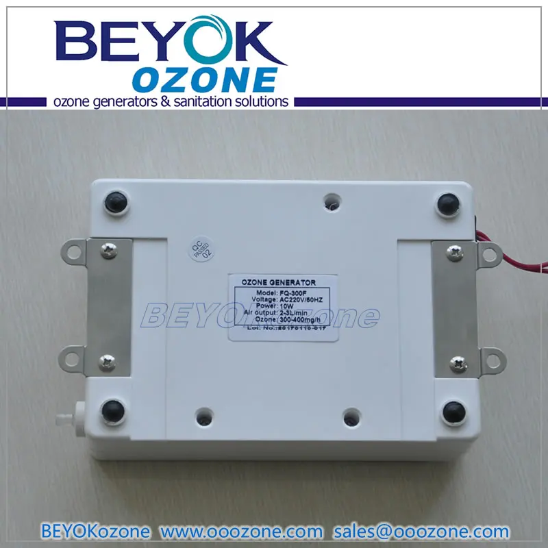 FQ-300F 300mg Ozone Generator with Fan for Water Purification Machines
