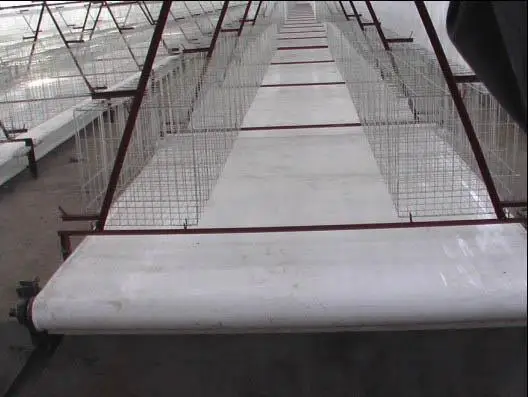 poutry Manure belt/conveyor belt for layer/broiler/chicken/battery /rabbit/duck cage (Manure belt-015)