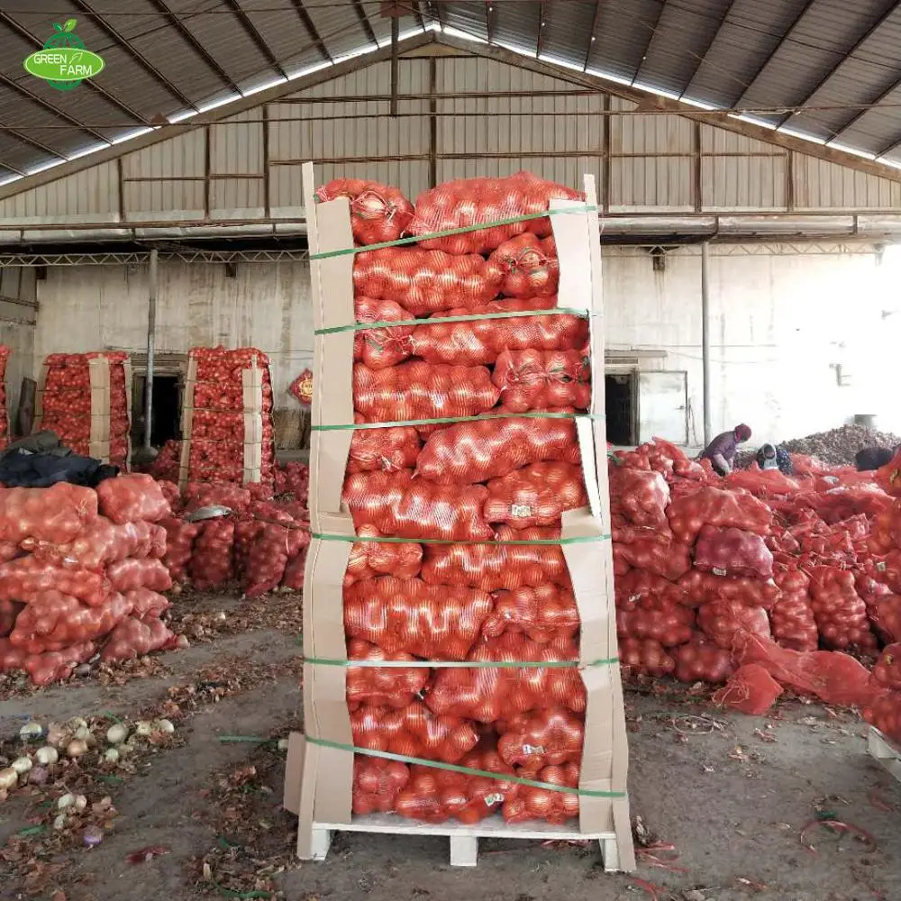 yellow onion packing in 25kg mesh bag  Sent to the Netherlands