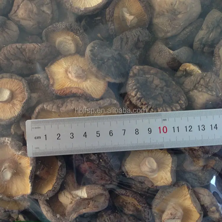 
Cultivated Brown Magic Mushrooms Dried for Sale 