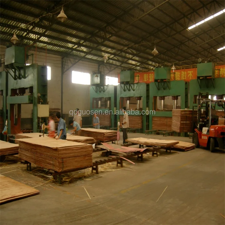 
2018 Plywood production line /producing line /making line 