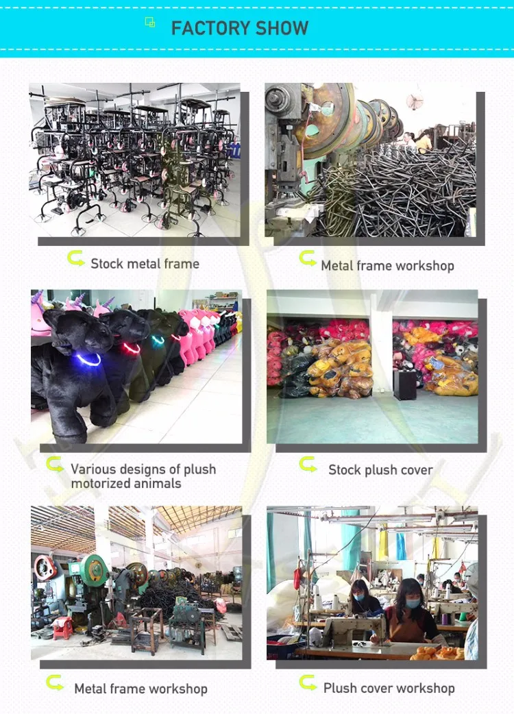 animal rides workshop